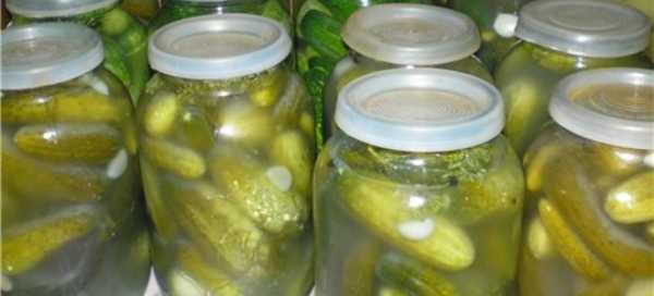 Crispy cucumbers with vodka for the winter: pickling and canning recipes in 3-liter jars