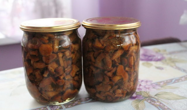 Crispy pickled chanterelles: recipes for the winter in jars