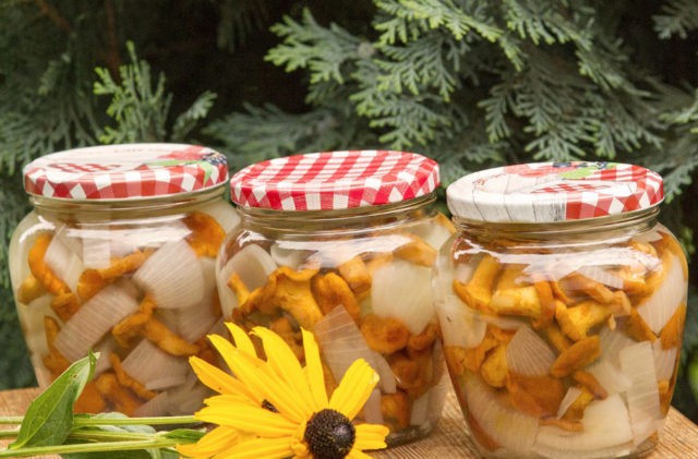 Crispy pickled chanterelles: recipes for the winter in jars