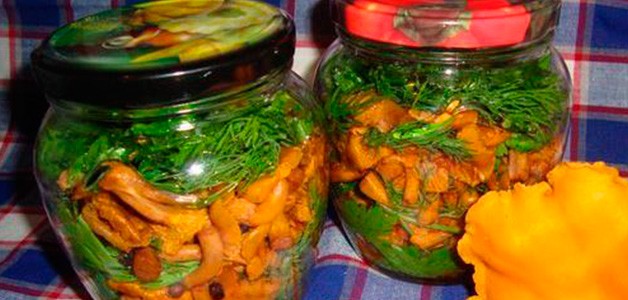 Crispy pickled chanterelles: recipes for the winter in jars