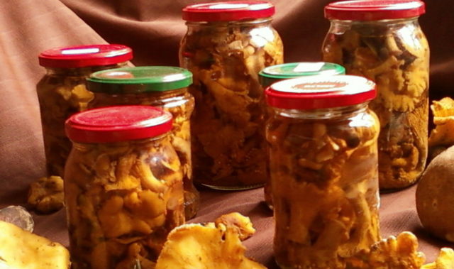 Crispy pickled chanterelles: recipes for the winter in jars