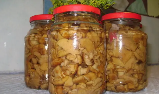 Crispy pickled chanterelles: recipes for the winter in jars