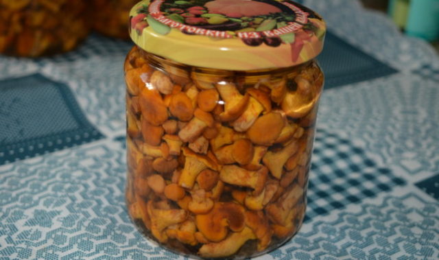 Crispy pickled chanterelles: recipes for the winter in jars