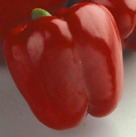 Cuboid varieties of pepper