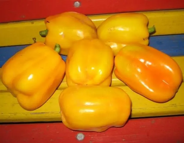 Cuboid varieties of pepper