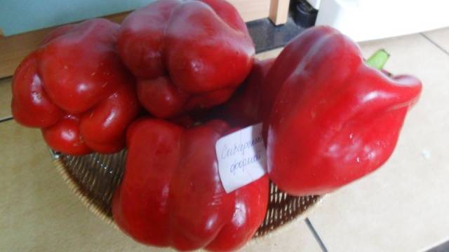 Cuboid varieties of pepper