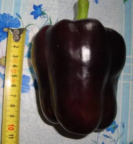 Cuboid varieties of pepper