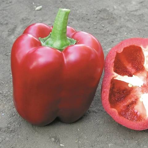 Cuboid varieties of pepper