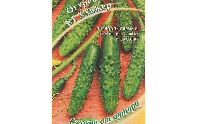 Cucumber Boyfriend F1