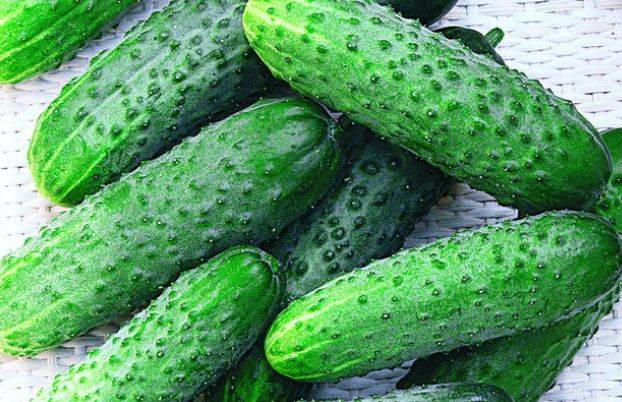 Cucumber Claudia: characteristics and description of the variety