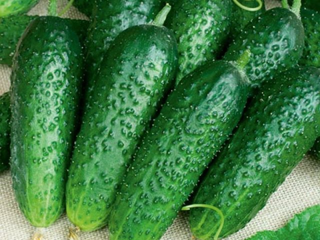 Cucumber Finger: variety description, photos, reviews