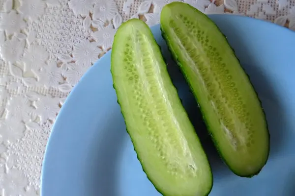 Cucumber Generalsky: characteristics and description of the variety, photo