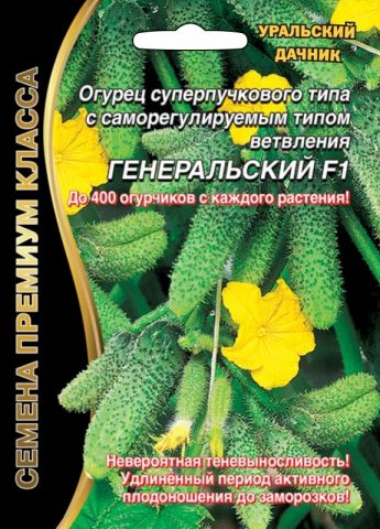 Cucumber Generalsky: characteristics and description of the variety, photo