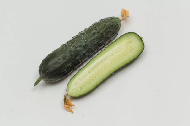 Cucumber Gunnar F1: characteristics, cultivation technology