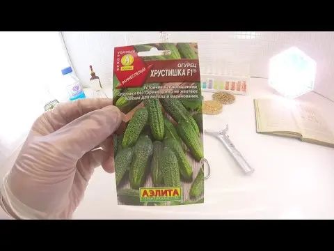 Cucumber Khrustishka F1