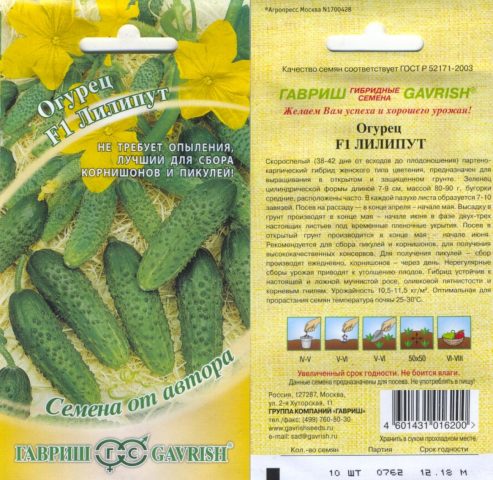 Cucumber Liliput F1: description and characteristics of the variety