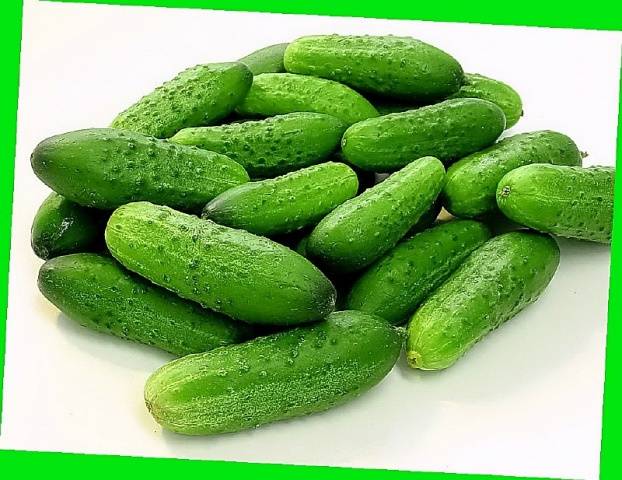 Cucumber Nezhinsky