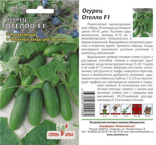 Cucumber Othello F1: characteristics and description of the variety