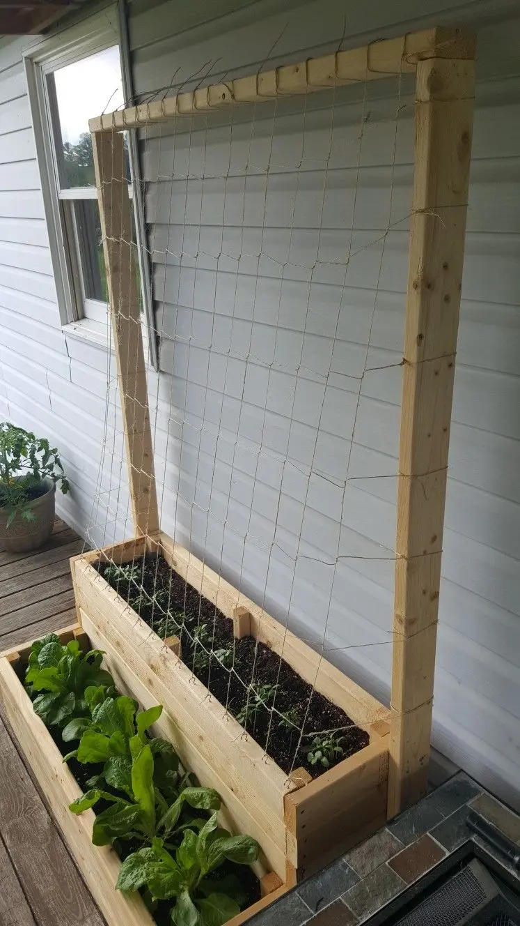 Cucumber planters