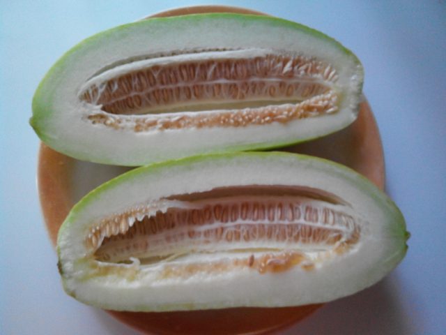 Cucumber: reviews, varieties, planting and care