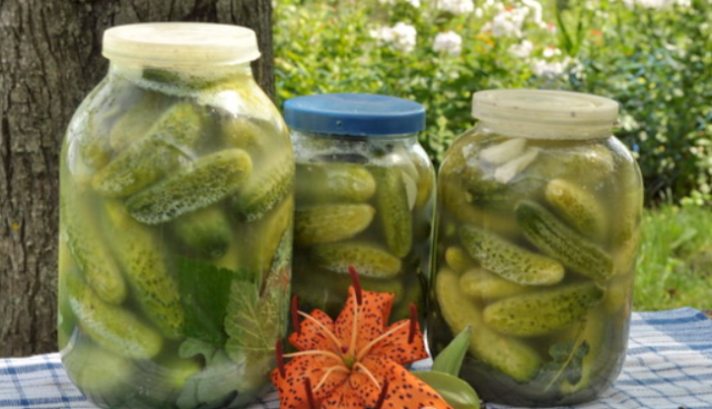 Cucumber salad with mustard without sterilization: delicious recipes for the winter