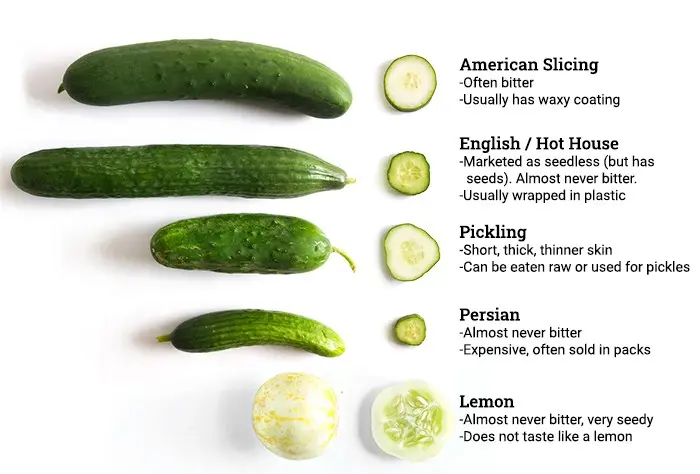 Cucumber seeds for greenhouses: characteristics of different varieties and types