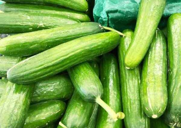 Cucumber Siberian garland: variety description, cultivation and formation