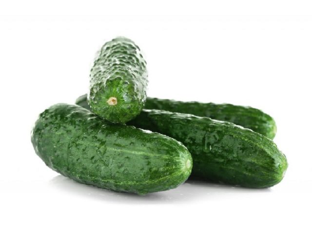 Cucumber Temp F1: description, reviews, yield