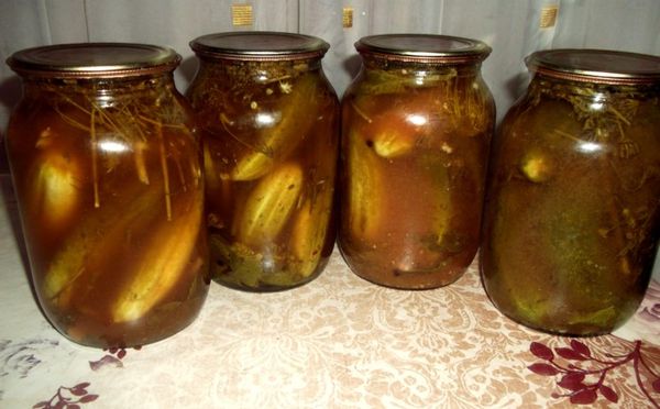 Cucumbers for the winter: homemade recipes for preserving pickled and pickled cucumber preparations in liter jars