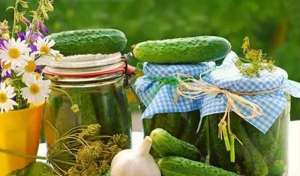 Cucumbers for the winter: homemade recipes for preserving pickled and pickled cucumber preparations in liter jars