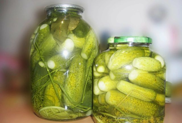 Cucumbers for the winter with apple cider vinegar: pickling and pickling recipes