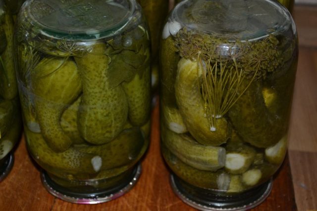 Cucumbers for the winter with apple cider vinegar: pickling and pickling recipes