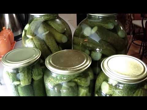 Cucumbers for the winter with apple cider vinegar: pickling and pickling recipes