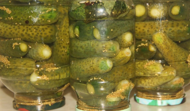 Cucumbers for the winter with mustard Lick your fingers: delicious recipes with photos