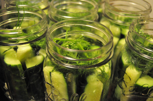 Cucumbers for the winter with mustard Lick your fingers: delicious recipes with photos