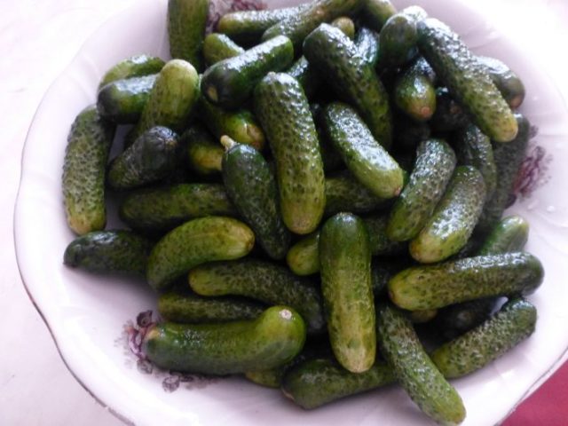 Cucumbers for the winter with mustard powder (dry mustard): salting and pickling recipes