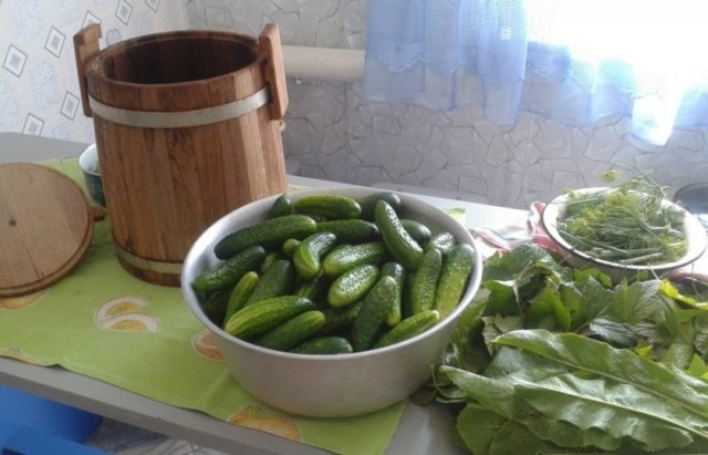 Cucumbers for the winter with mustard powder (dry mustard): salting and pickling recipes