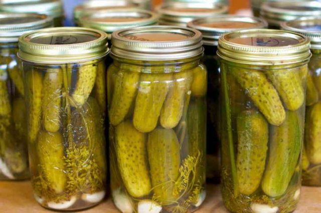 Cucumbers for the winter with mustard powder (dry mustard): salting and pickling recipes