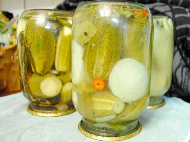 Cucumbers for the winter with mustard powder (dry mustard): salting and pickling recipes