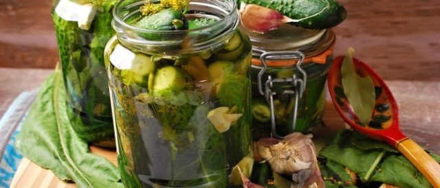 Cucumbers for vodka: recipes for the winter of salads and blanks