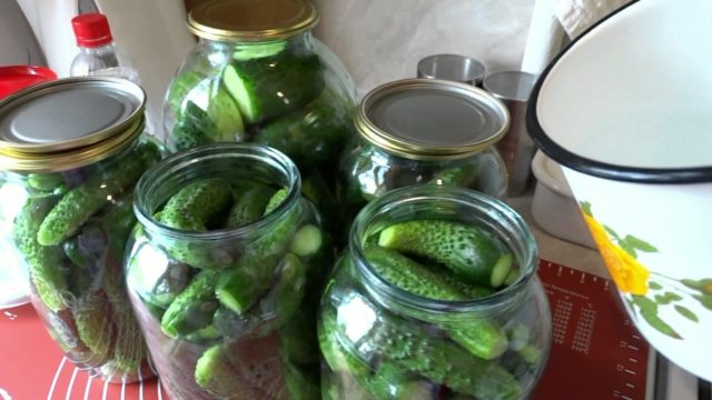 Cucumbers for vodka: recipes for the winter of salads and blanks