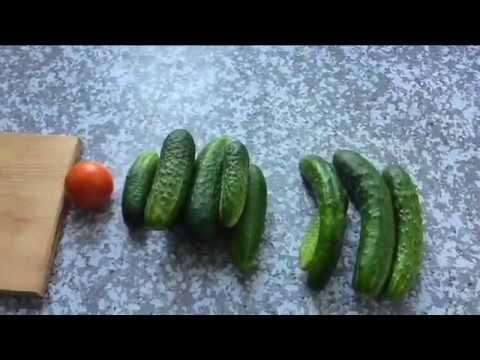 Cucumbers Harmonist F1: variety description, photos, reviews of gardeners