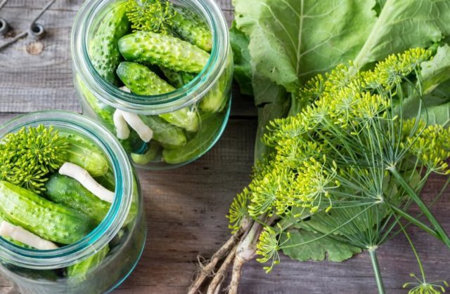 Cucumbers in Hungarian for the winter