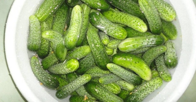 Cucumbers Ladyfingers: a recipe for the winter