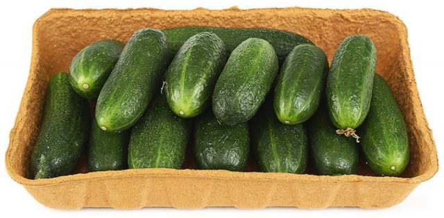 Cucumbers Lukhovitsky F1: reviews, description