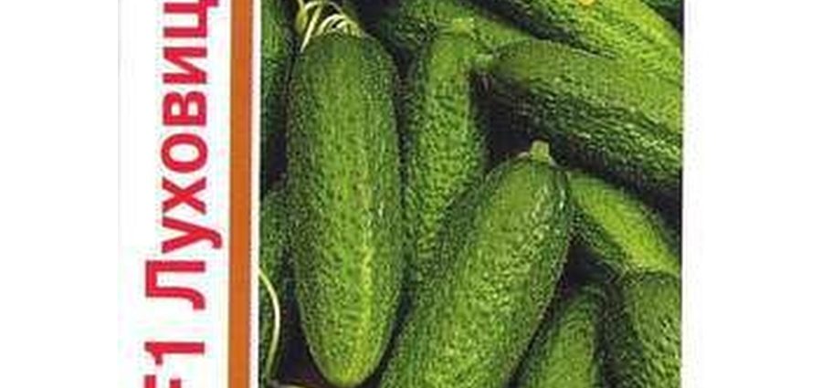 Cucumbers Lukhovitsky F1: reviews, description