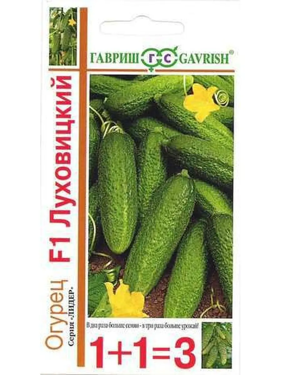 Cucumbers Lukhovitsky F1: reviews, description