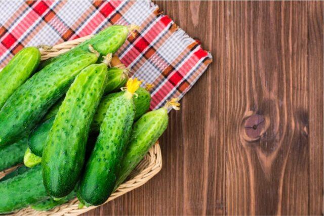 Cucumbers Mumu F1: variety description, photo, reviews of gardeners