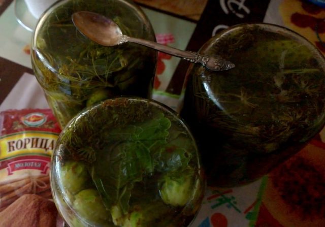 Cucumbers pickled with cinnamon: recipes for the winter