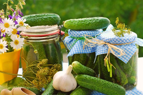 Cucumbers pickled with ground pepper: black, red, salting recipes